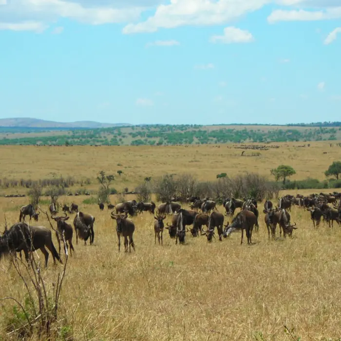 Featured image for “Kiitos itsenäisestä Suomesta!”