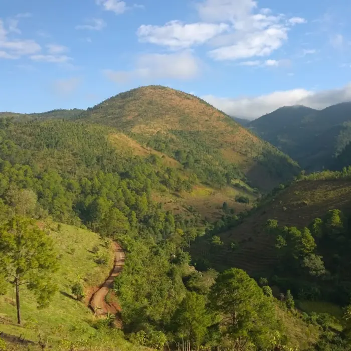 Featured image for “Myanmarin aktio: Tervetuloa koteihin!”