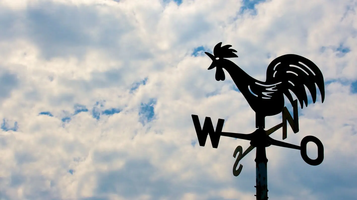 Featured image for “Sisimpäni sisäilmaongelma”