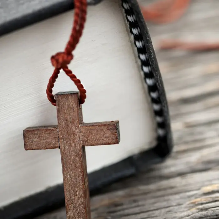 Featured image for “Somejätit kaatuivat – Sley toimii”