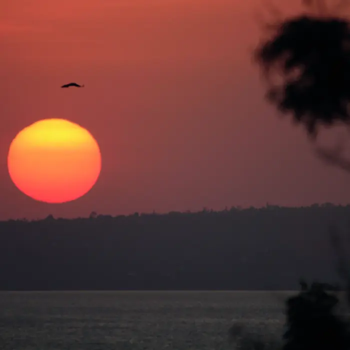 Featured image for “Kokousterveisiä”