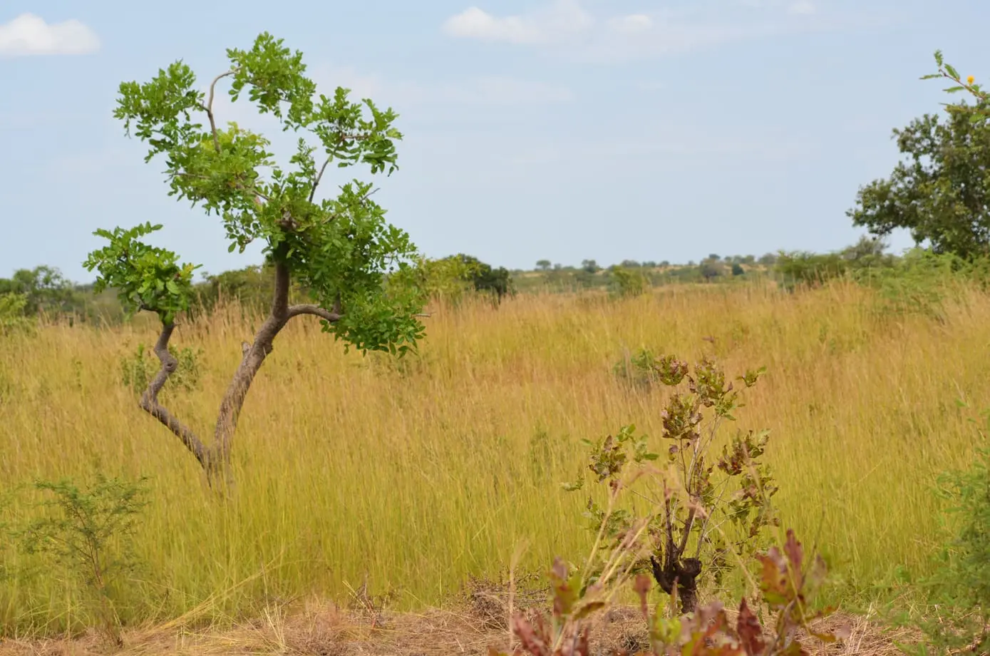 Featured image for “Joulu pressukirkossa”