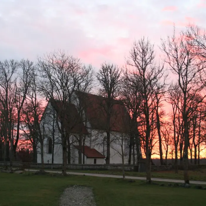 Featured image for “Viro-aktio: Tänään jäljellä yksi”