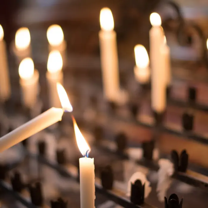 Featured image for “Pajokin verilöyly”