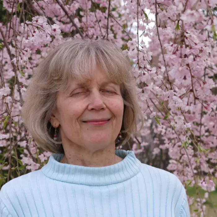 Featured image for “Lähetystyön aluekoordinaattorin aatteita”