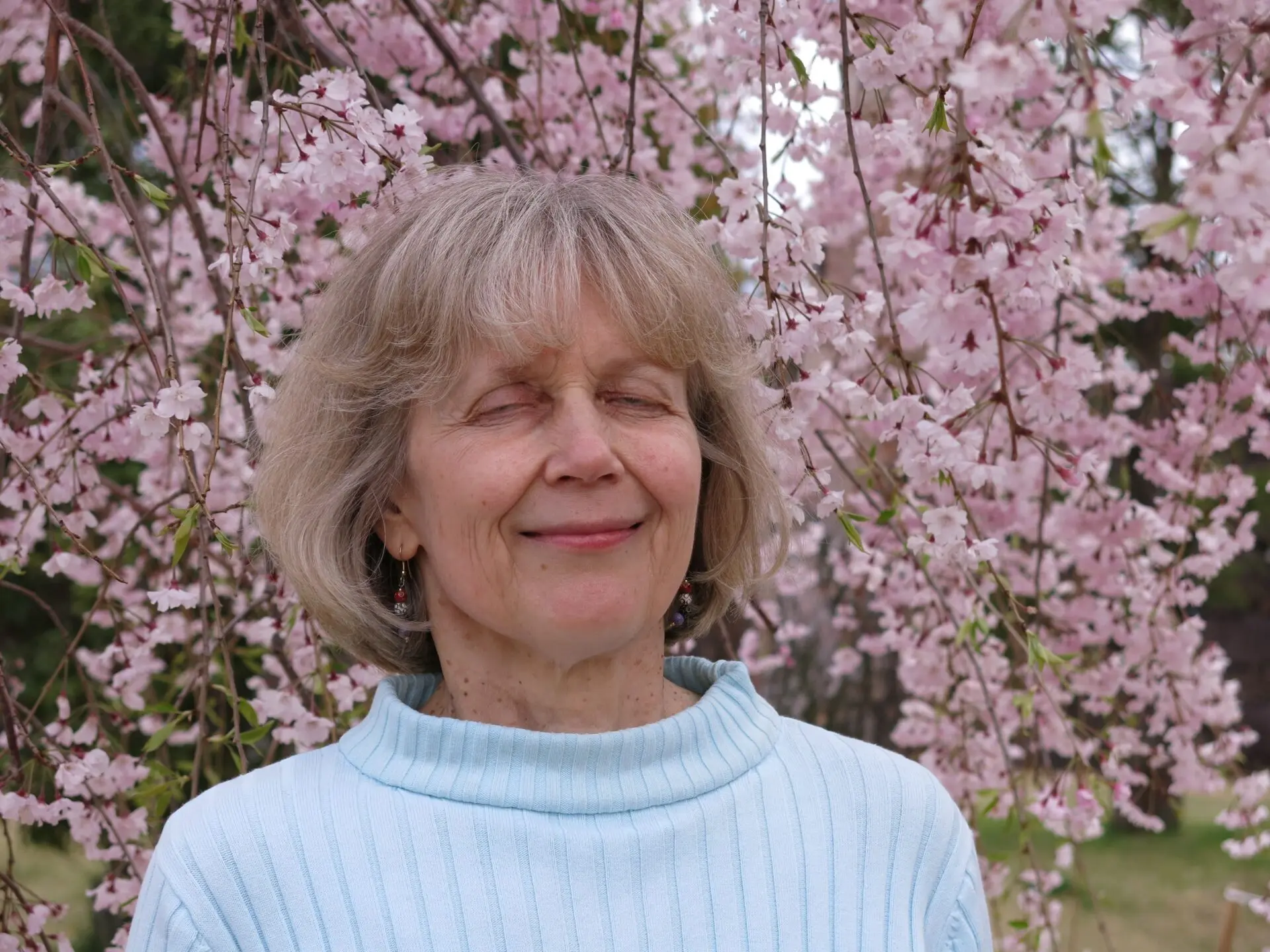 Featured image for “Lähetystyön aluekoordinaattorin aatteita”