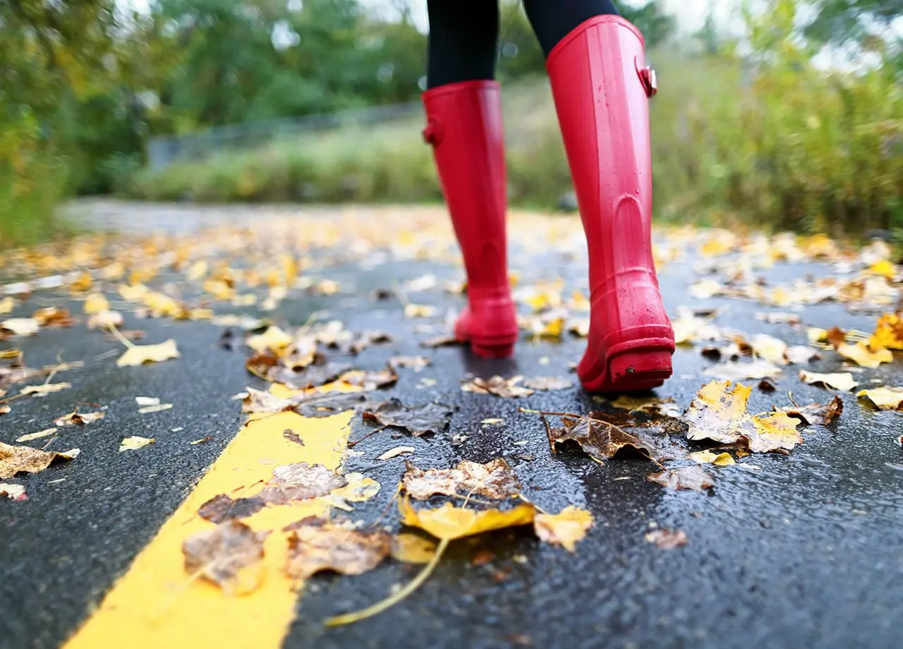 Featured image for “Syksy tulee, oletko valmis?”