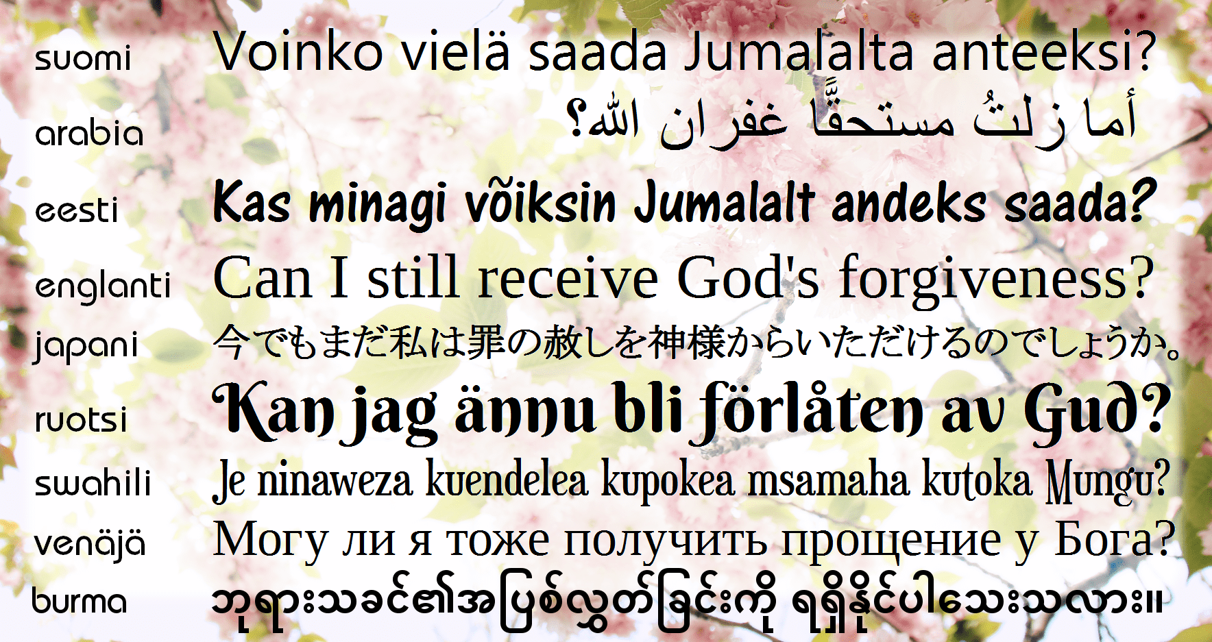 Featured image for “Bible toolbox julistaa evankeliumia yötä päivää”