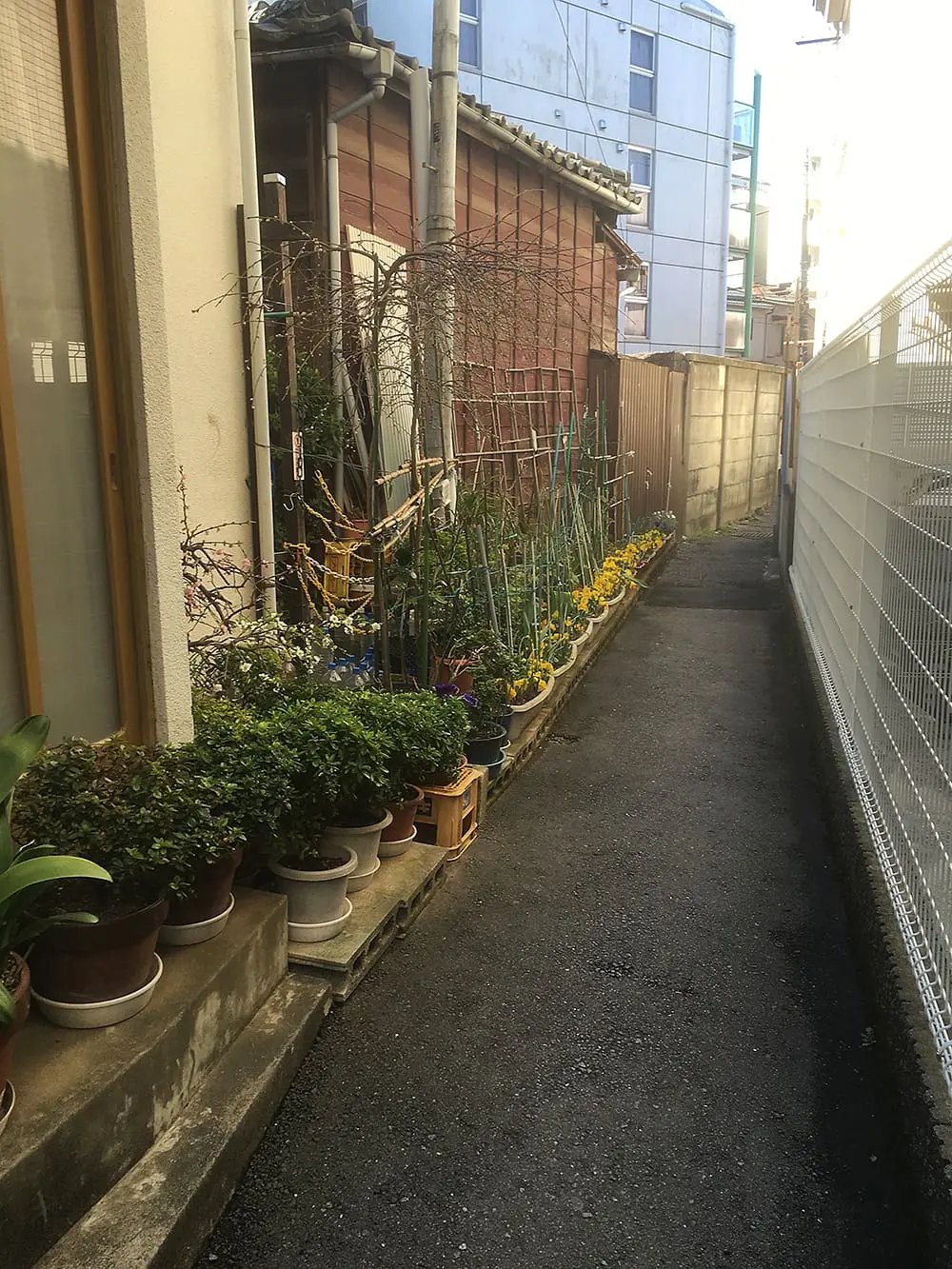 Featured image for “Lähellä mutta kaukana”