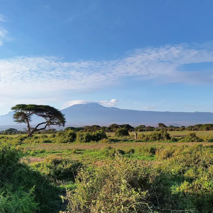Featured image for “Aluekoordinaattorin työn arkea Suomessa ja maailmalla”