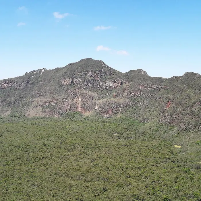 Featured image for “Luomistöiden äärellä”