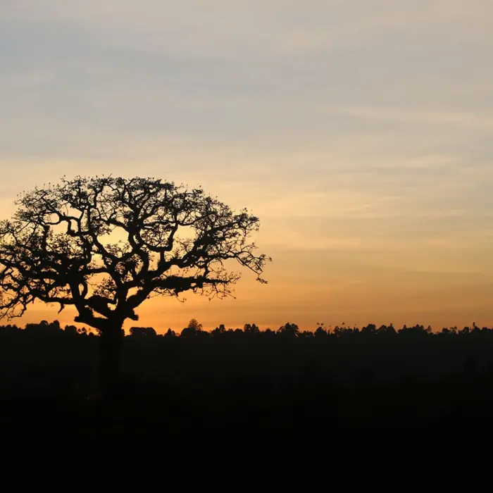 Featured image for “Lähetysterveisiä lapsilta lapsille – Kenia”