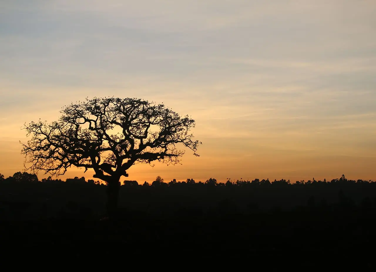 Featured image for “Lähetysterveisiä lapsilta lapsille – Kenia”