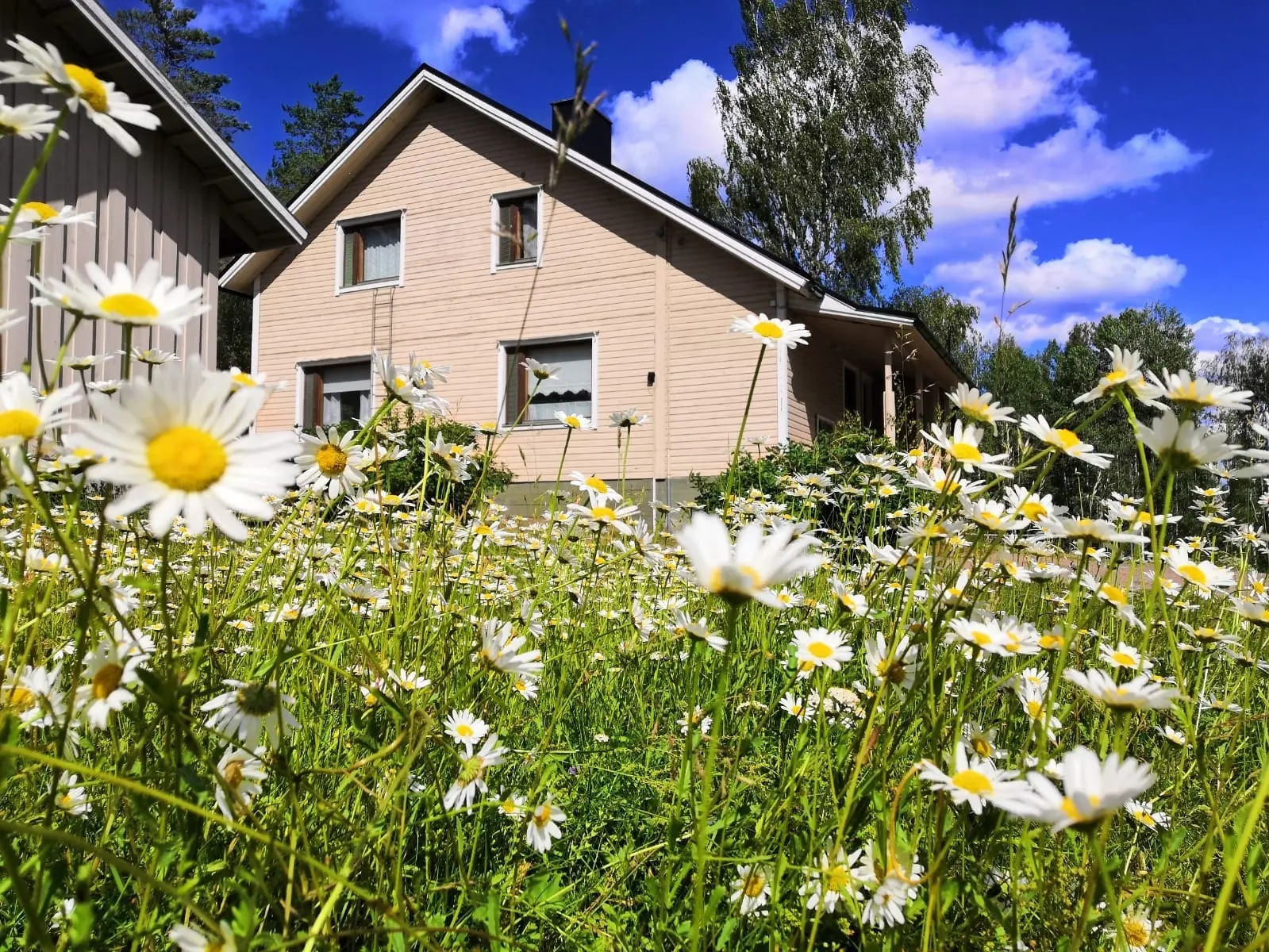 Featured image for “Hietoinrannassa juhlittiin 50-vuotista taivalta!”