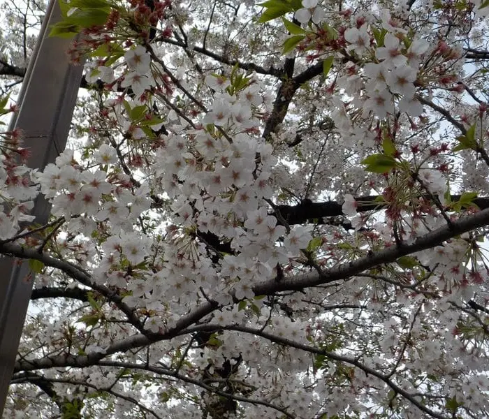 Featured image for “Kaikella on määräaikansa”