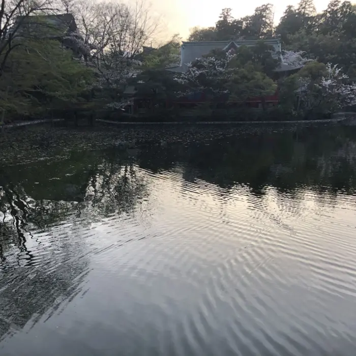 Featured image for “Rauha teille”