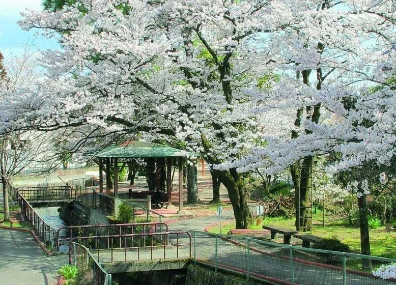 Featured image for “Välähdyksiä Sleyn lähetystyöhön AD 2022”