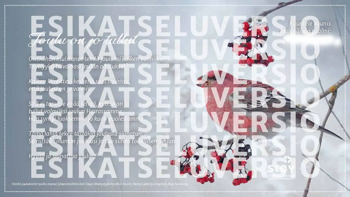 Featured image for “Sähköinen joulukortti myynnissä lähetyksen hyväksi”