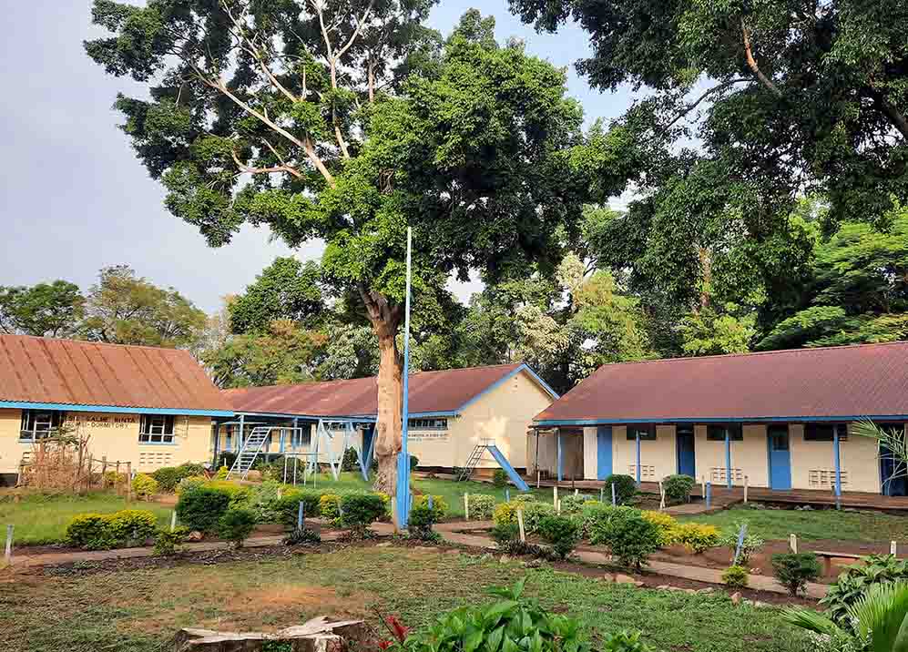 Featured image for “Piilosta kouluun ”