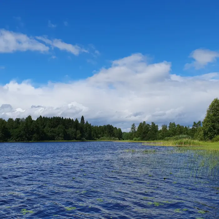 Featured image for “Kuulumisia kotimaasta”