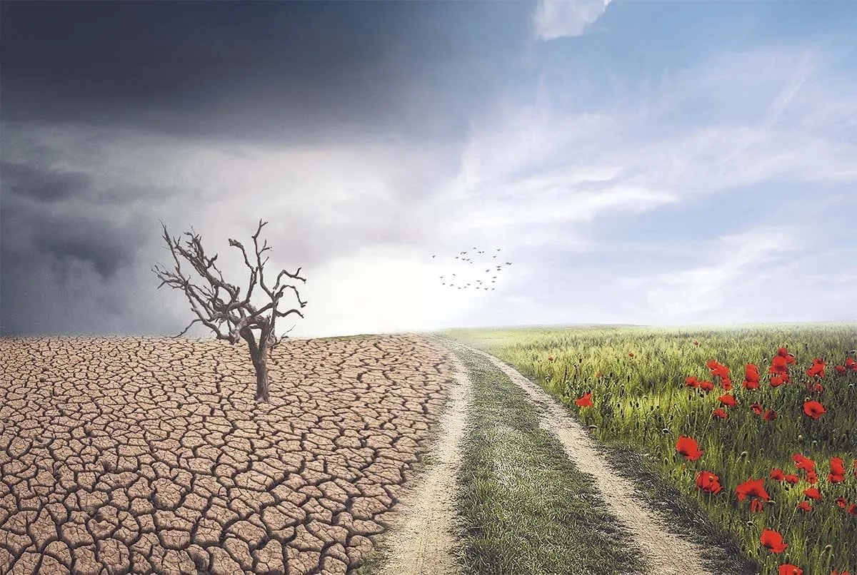 Featured image for “🔒 Uudeksi minä teen kaikki”