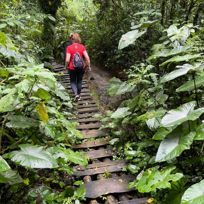 Featured image for “Katse kohti tulevaa”