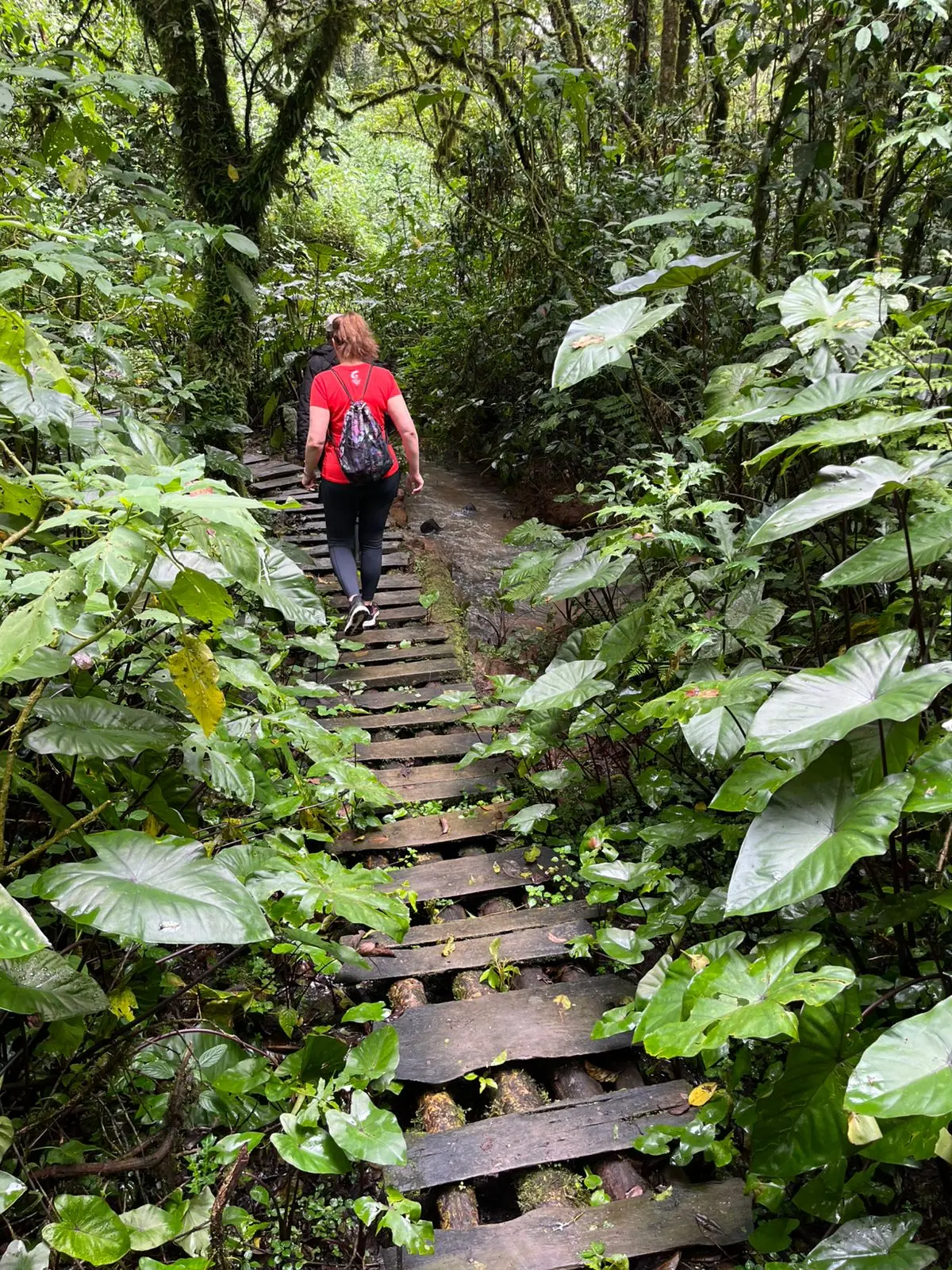 Featured image for “Katse kohti tulevaa”