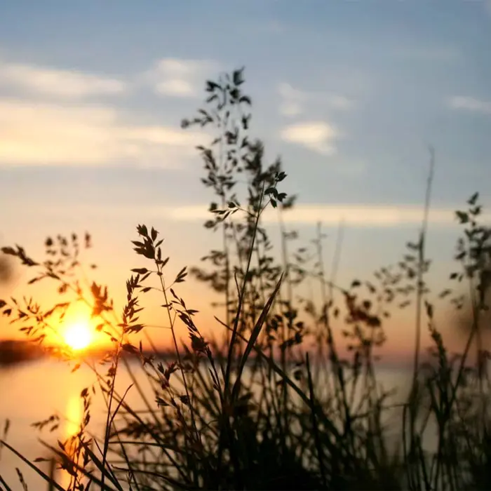 Featured image for “🔒 Mitä Raamattu opettaa taivaasta?”