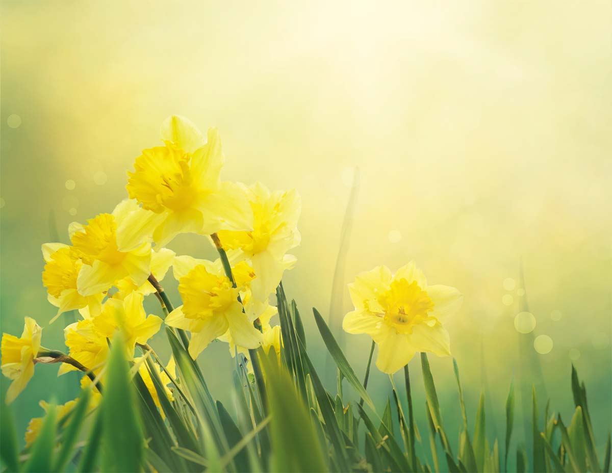 Featured image for “🔒 Juhlat Raamatussa”