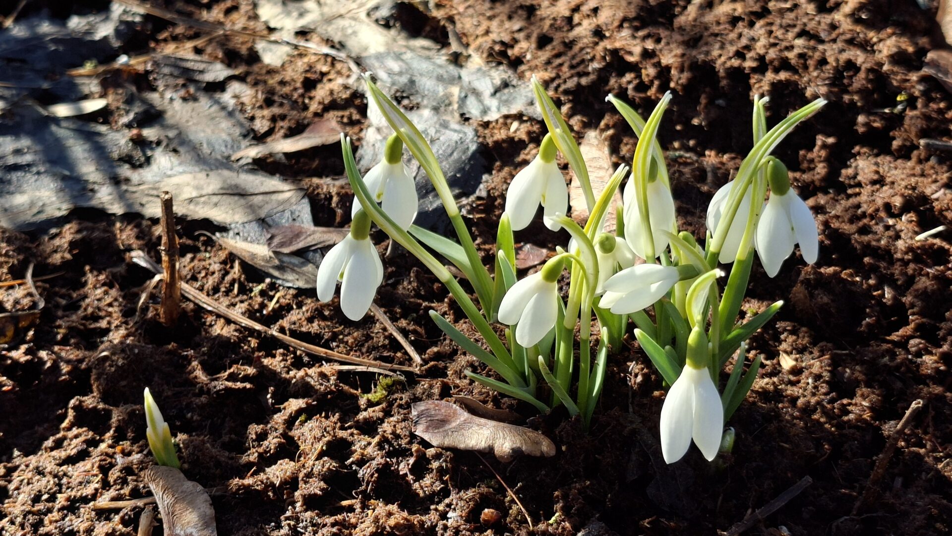 Featured image for “Elämän merkkejä”